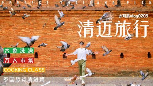 泰国旅游博主爆料事件视频,揭秘背后真相  第1张